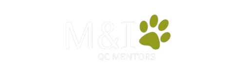 QCmentors